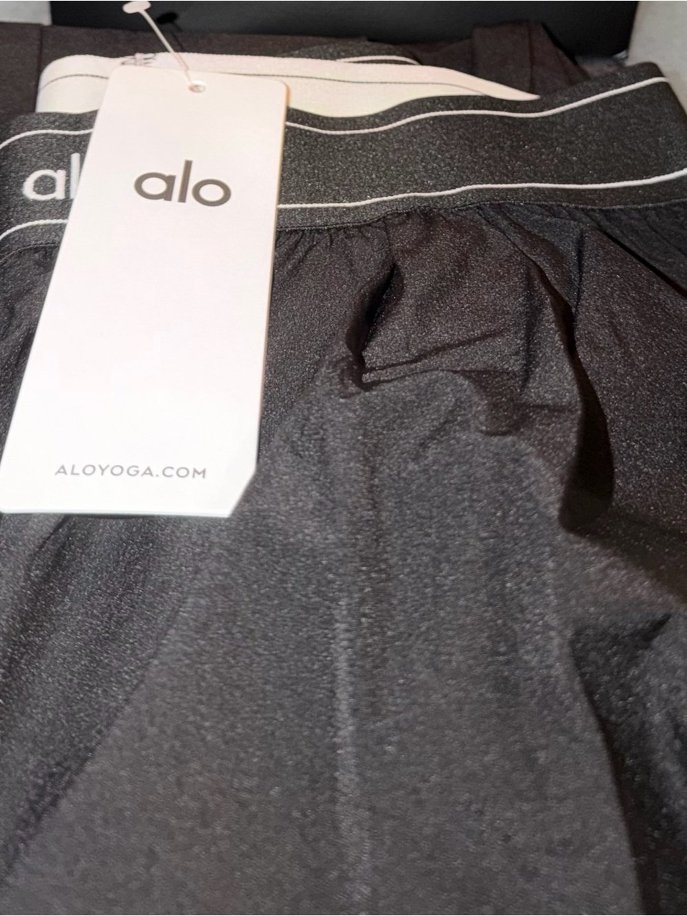Alo High-Waist Black Active Leggings
